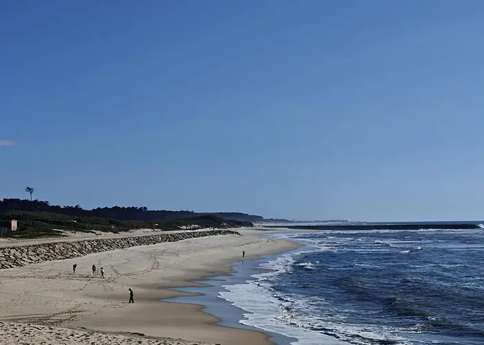 Refugio Do Surf Cortegaça